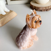 Load image into Gallery viewer, Yorkshire Terrier