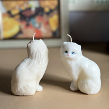 Load image into Gallery viewer, Rag-doll Cat