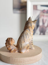 Load image into Gallery viewer, Maine Coon