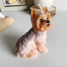 Load image into Gallery viewer, Yorkshire Terrier