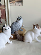 Load image into Gallery viewer, Cat - Design 4