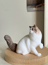 Load image into Gallery viewer, Cat - Design 4