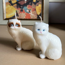 Load image into Gallery viewer, Rag-doll Cat
