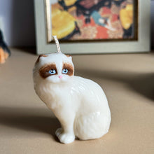 Load image into Gallery viewer, Rag-doll Cat