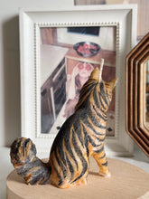 Load image into Gallery viewer, Maine Coon