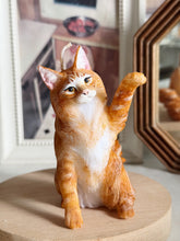 Load image into Gallery viewer, Maine Coon