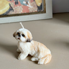 Load image into Gallery viewer, Shin Tzu - Design 2