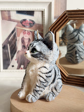 Load image into Gallery viewer, Kitten