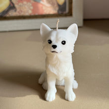 Load image into Gallery viewer, Long Hair Chihuahua