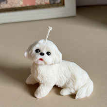 Load image into Gallery viewer, Shin Tzu - Design 2