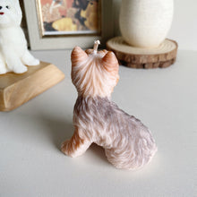 Load image into Gallery viewer, Yorkshire Terrier