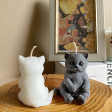 Load image into Gallery viewer, Mini Cat