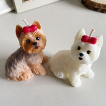 Load image into Gallery viewer, Yorkshire Terrier