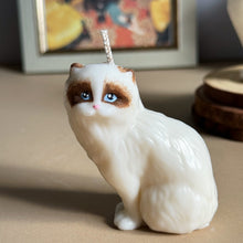 Load image into Gallery viewer, Rag-doll Cat