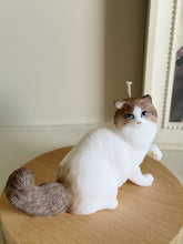 Load image into Gallery viewer, Cat - Design 4