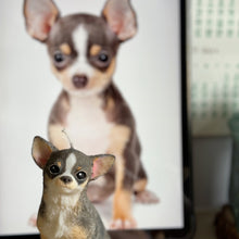 Load image into Gallery viewer, Short Hair Chihuahua