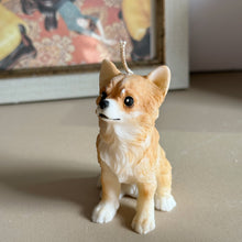 Load image into Gallery viewer, Long Hair Chihuahua