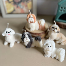 Load image into Gallery viewer, Shin Tzu - Design 2