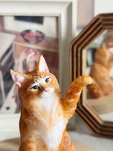 Load image into Gallery viewer, Maine Coon