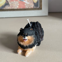 Load image into Gallery viewer, Pomeranian - Design 3