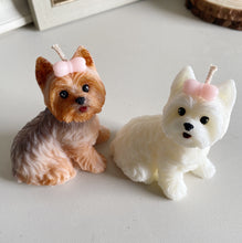 Load image into Gallery viewer, Yorkshire Terrier