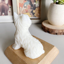 Load image into Gallery viewer, Yorkshire Terrier