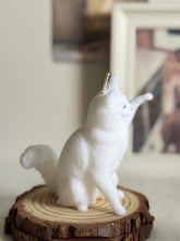 Load image into Gallery viewer, Maine Coon