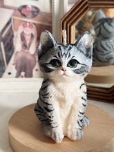 Load image into Gallery viewer, Kitten