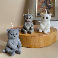 Load image into Gallery viewer, Mini Cat