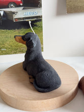 Load image into Gallery viewer, Short Hair Dachshund