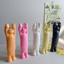 Load image into Gallery viewer, Mai Yuk Cat