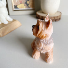 Load image into Gallery viewer, Yorkshire Terrier