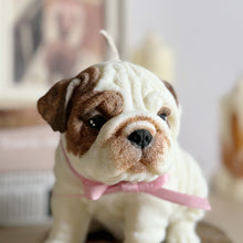 Load image into Gallery viewer, English Bulldog