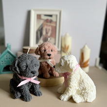 Load image into Gallery viewer, Cockapoo