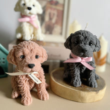 Load image into Gallery viewer, Cockapoo