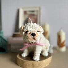 Load image into Gallery viewer, English Bulldog