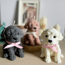 Load image into Gallery viewer, Cockapoo