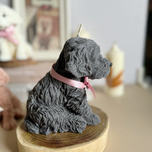 Load image into Gallery viewer, Cockapoo