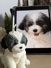 Load image into Gallery viewer, My Big Coco