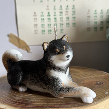 Load image into Gallery viewer, Shiba