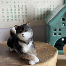 Load image into Gallery viewer, Shiba