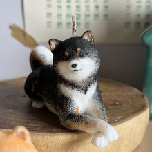 Load image into Gallery viewer, Shiba