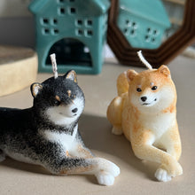 Load image into Gallery viewer, Shiba