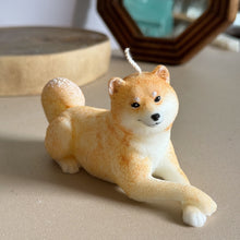 Load image into Gallery viewer, Shiba