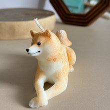 Load image into Gallery viewer, Shiba