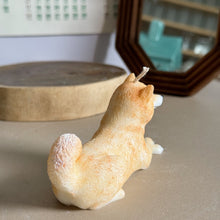 Load image into Gallery viewer, Shiba