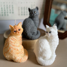 Load image into Gallery viewer, Cat - Design 1