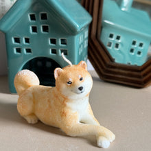 Load image into Gallery viewer, Shiba