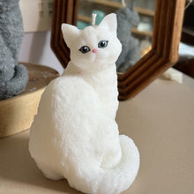 Load image into Gallery viewer, Cat - Design 1