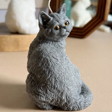 Load image into Gallery viewer, Cat - Design 1